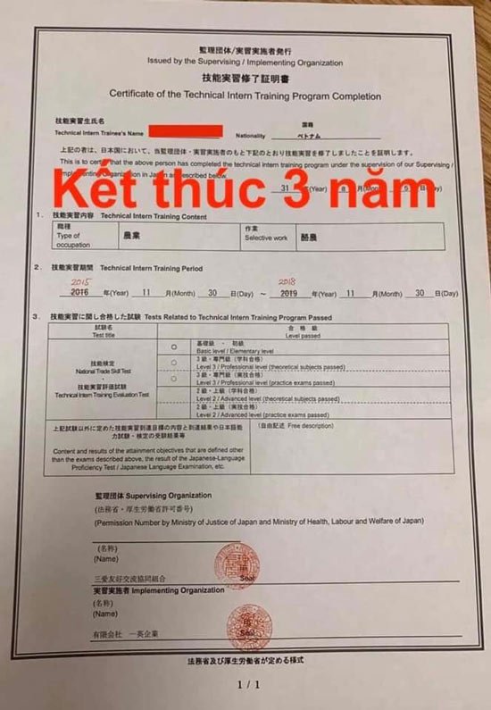 Kỹ năng đặc định Nhật Bản Tokutei Ginou