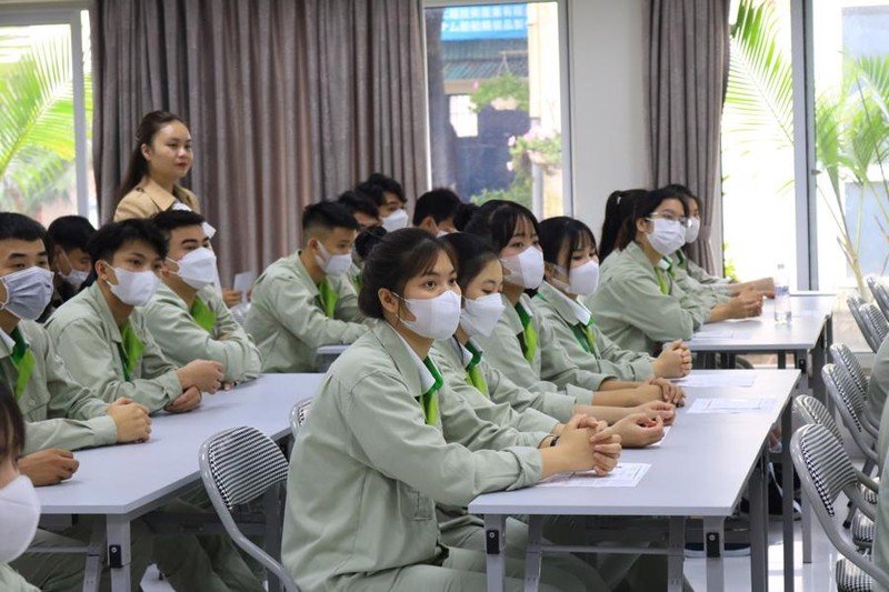 Xuất khẩu lao động Hungary 2025: Cơ hội và thách thức