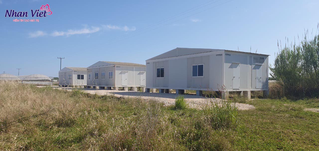 Xuất khẩu lao động Hy Lạp