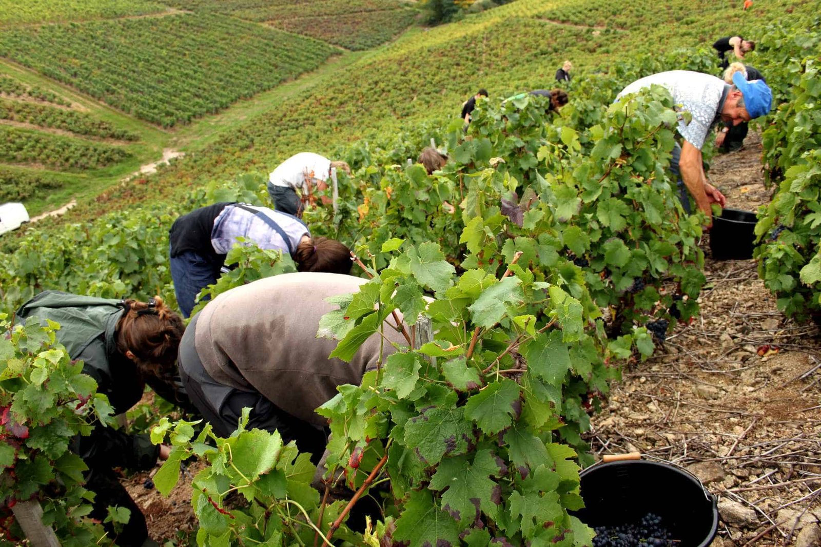 xuat-khau-lao-dong-hy-lap