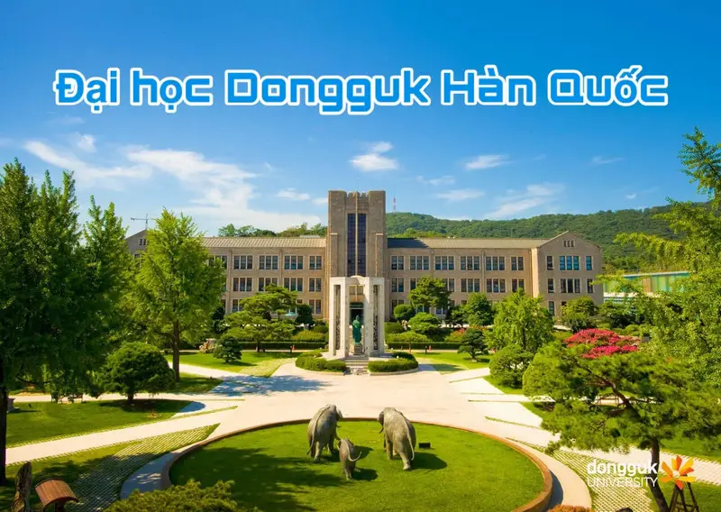 <strong>Đại học Dongguk Hàn Quốc</strong> - Dongguk University