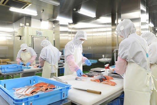 Các Ngành Nghề Nhu Cầu Xuất Khẩu Lao Động Tại Ireland - Cơ Hội Việc Làm Hấp Dẫn Cho Người Việt